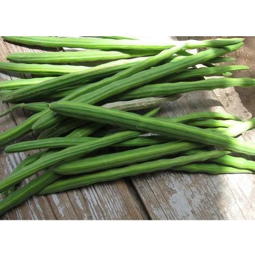 Drumsticks