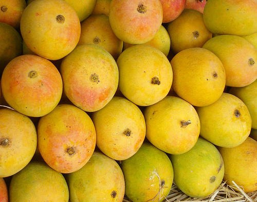 Fruits